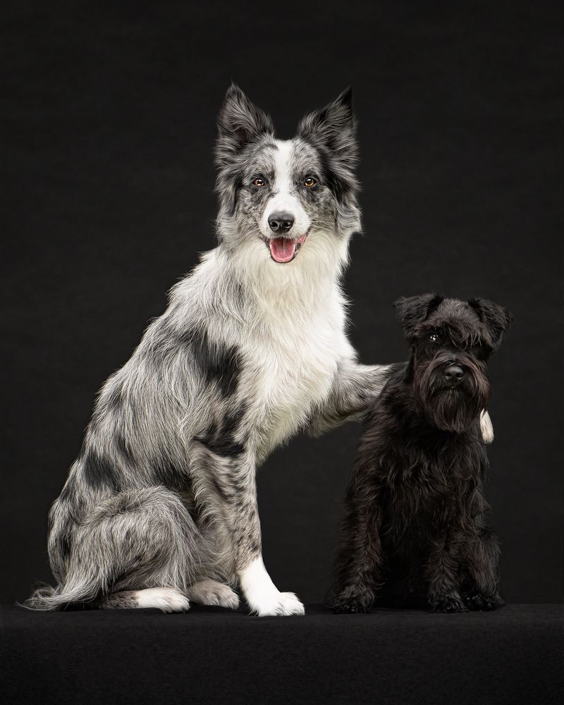 Photograph by Татьяна Полякова