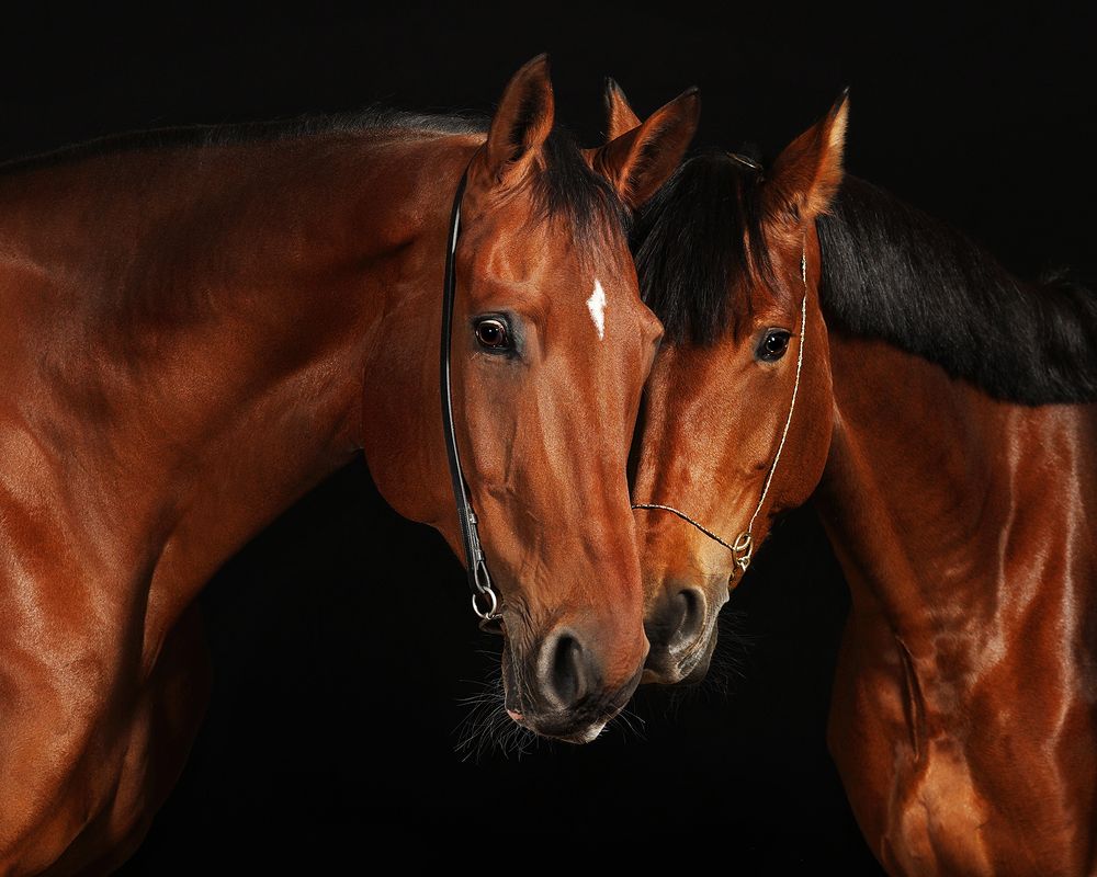 Фотография автора Helena