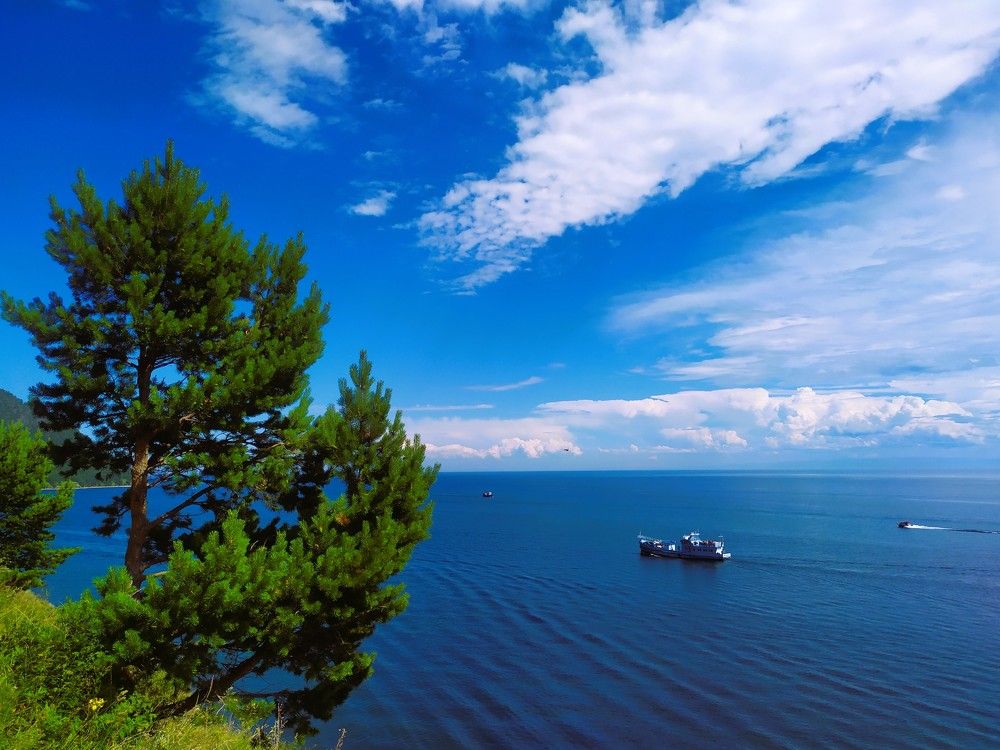 Фотография автора Анастасия Демина