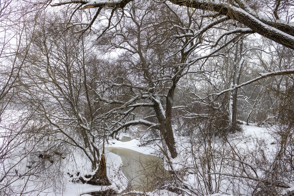 Photograph by Петр