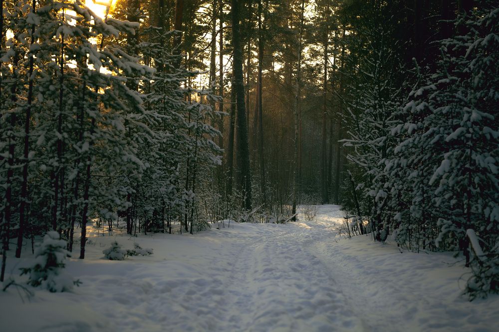 Photograph by Egor Klimovich