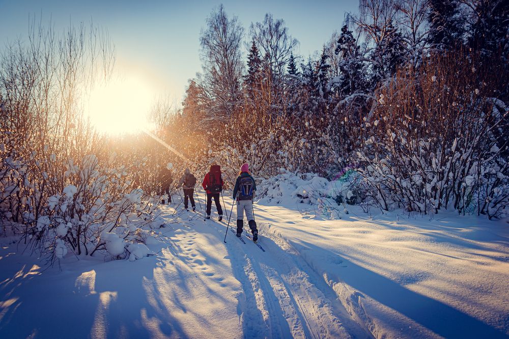 Фотография автора Наволокин Михаил