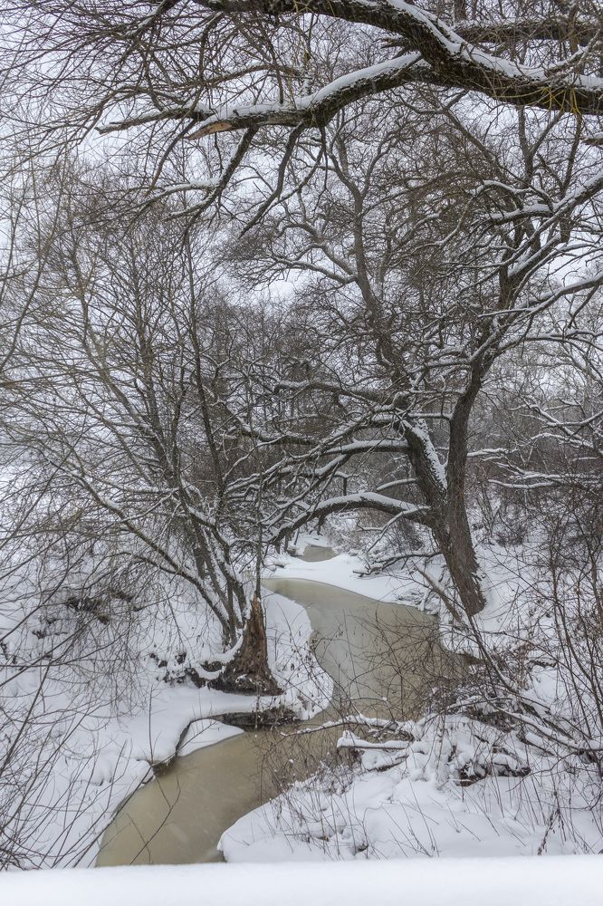 Photograph by Петр