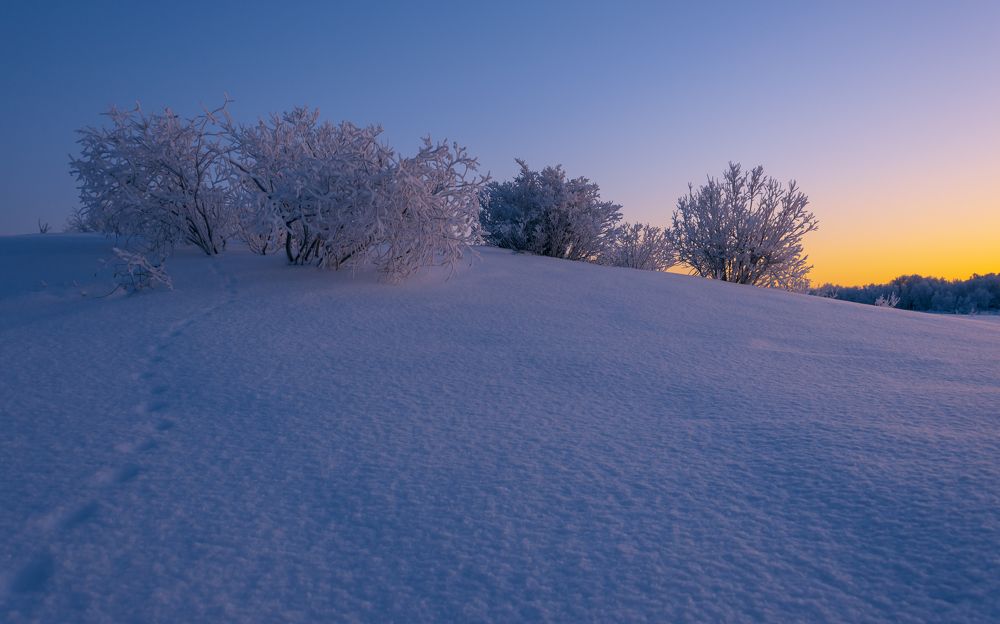Photograph by Ева Кострома