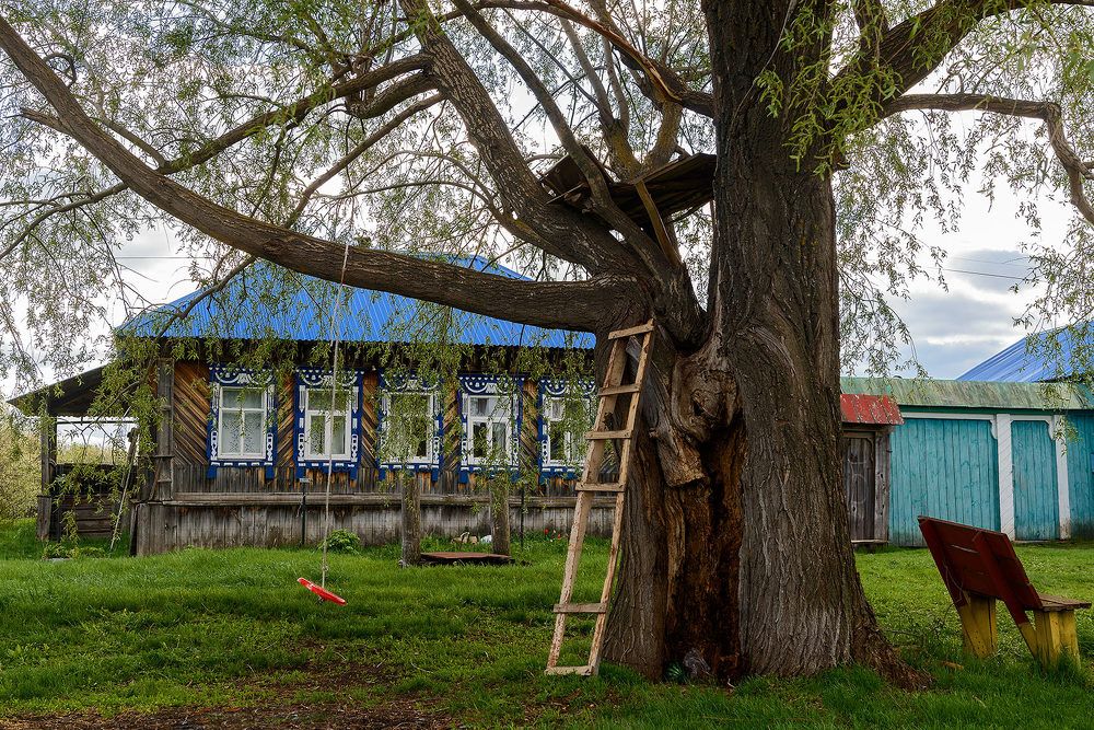 Photograph by Владислав Никишин