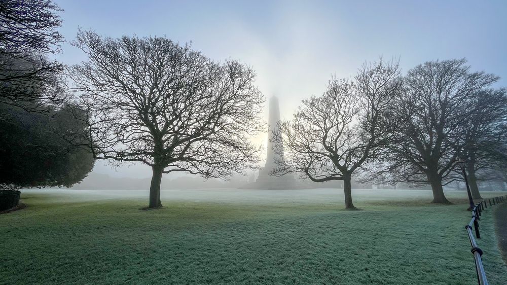 Photograph by Алина Ерехинская