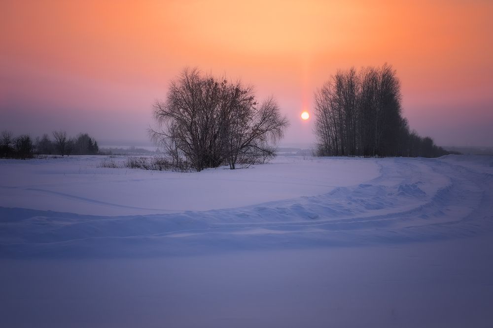 Photograph by Владислав Никишин