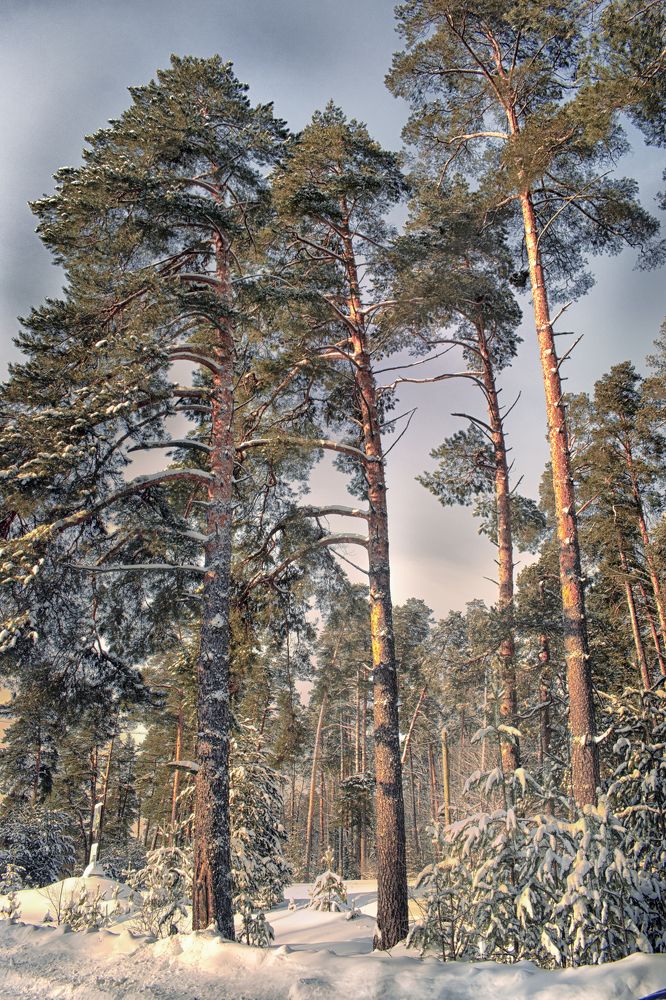 Photograph by Альфия Агзами