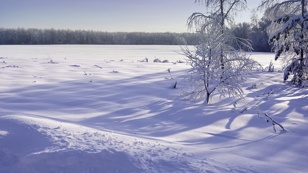 Photograph by Алексей Парамонов