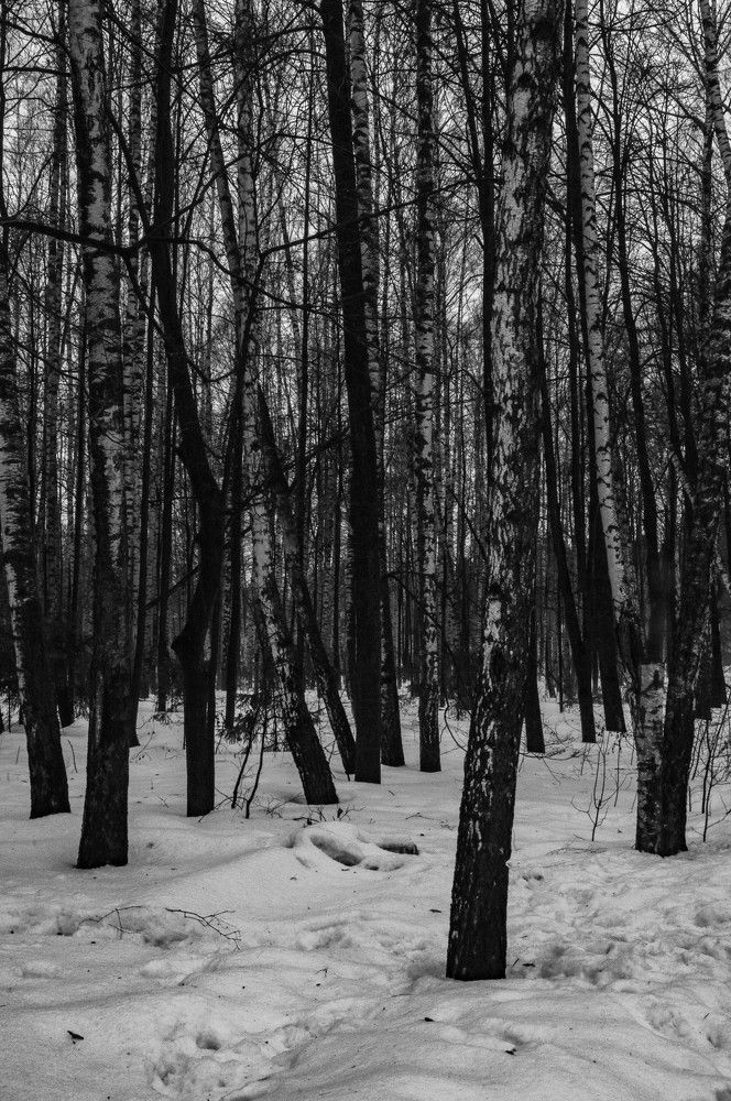 Photograph by Юлия Олейник