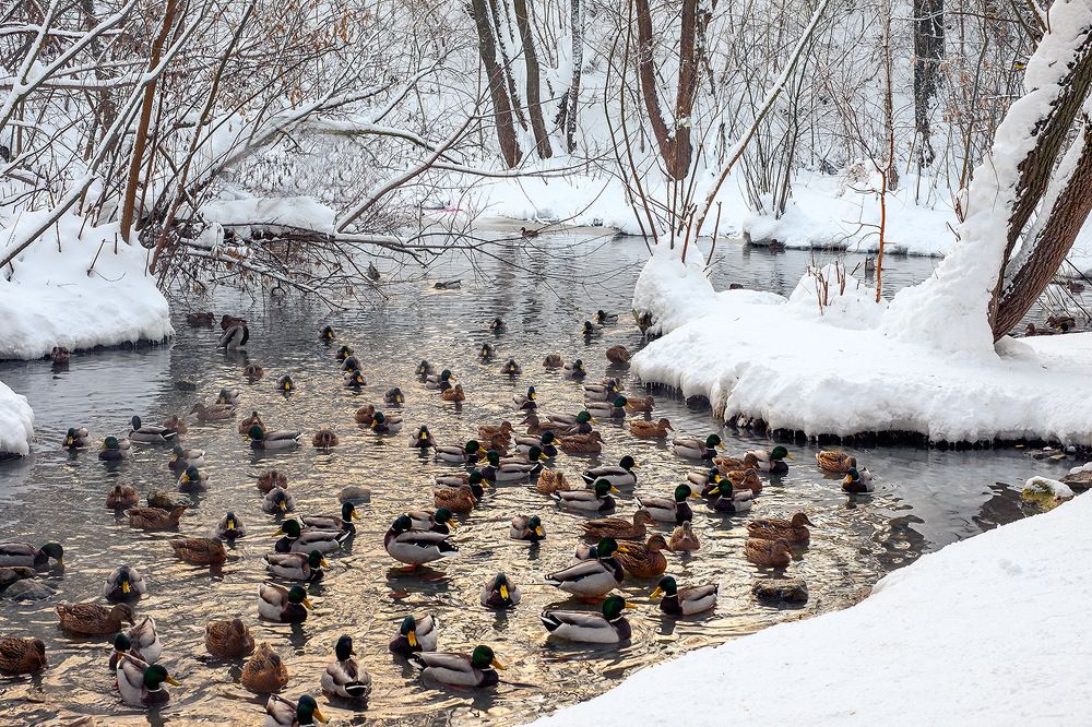 Photograph by Владислав Никишин