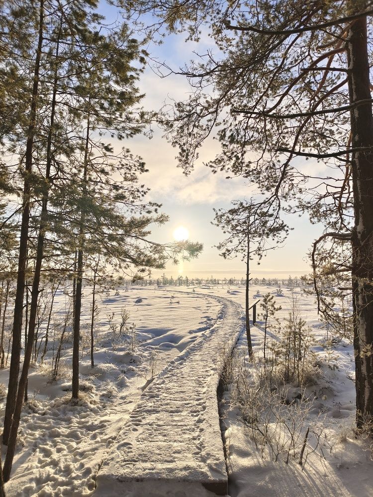 Photograph by Олег Васильев