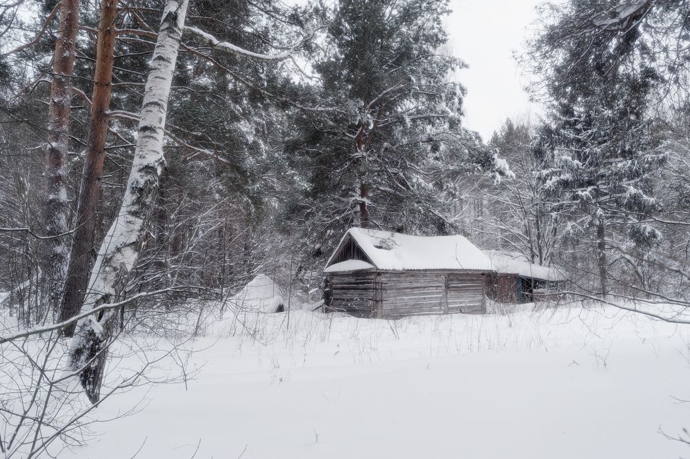 Photograph by Владимир Щеголев