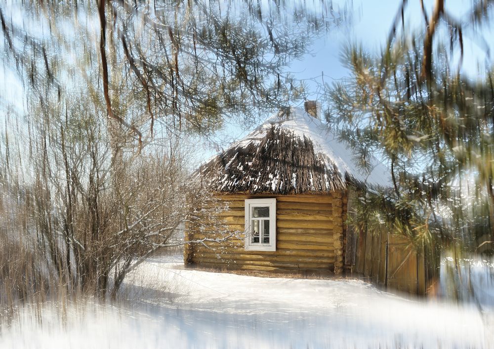 Photograph by Владимир Щеголев