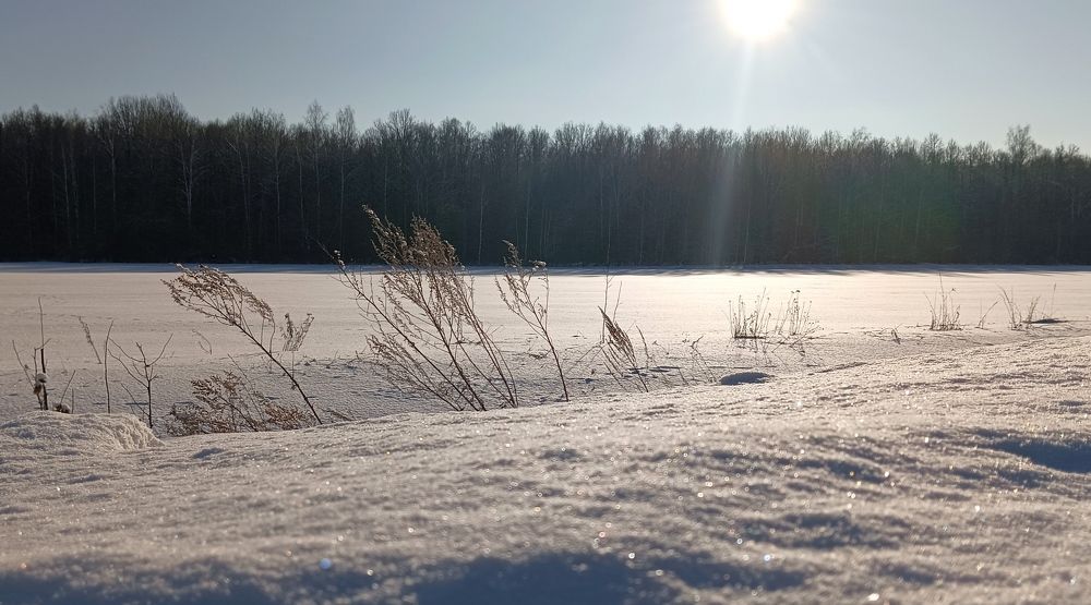 Мороз и солнце
