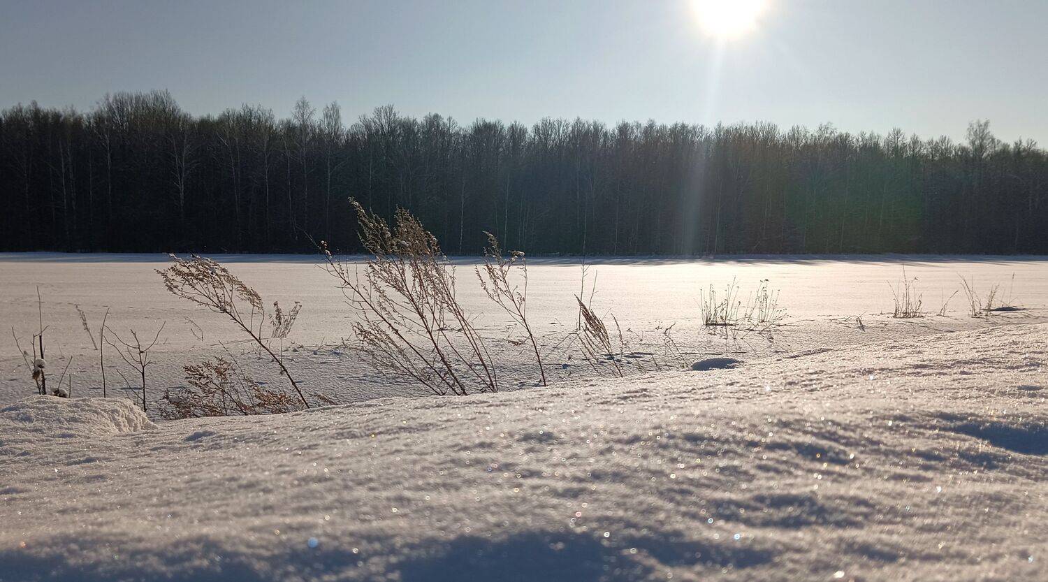 Мороз и солнце