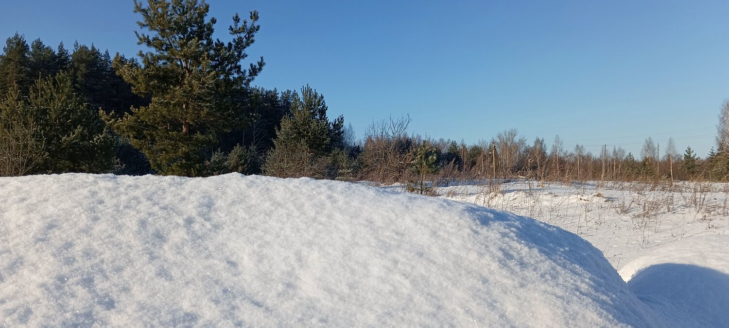 Сугробы на лесной опушке.