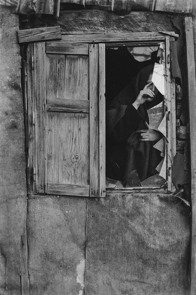 Photograph by Moga Alexandru