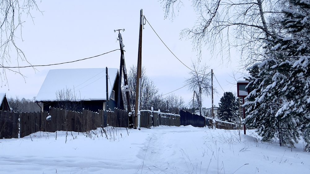 Морозный день