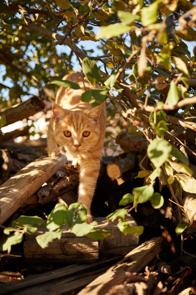 Photograph by Гуляев Виталий