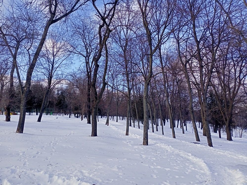 Photograph by Анна Лагун