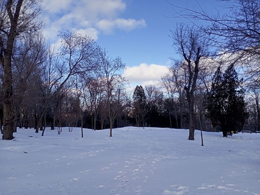 Photograph by Анна Лагун