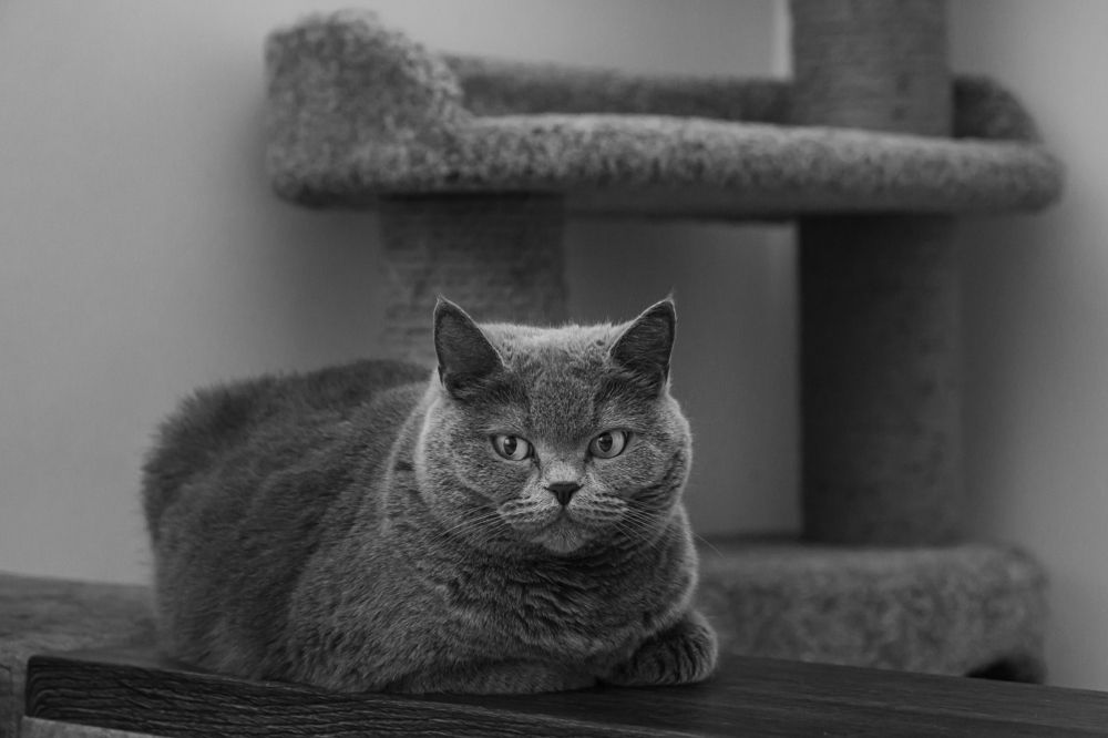 "Жизнь прекрасна"