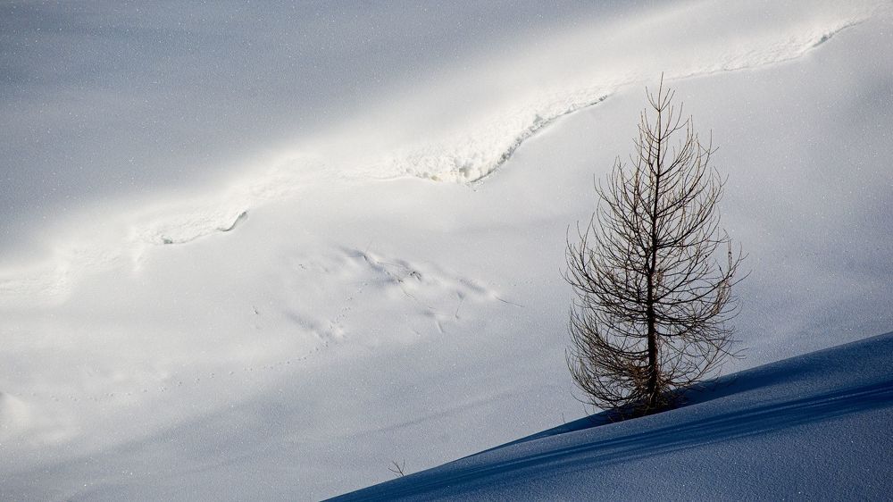 Photograph by Jan Musil