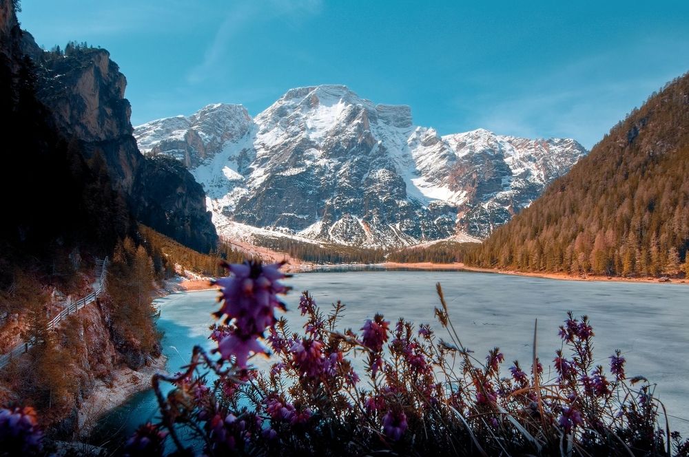 Photograph by Jan Musil