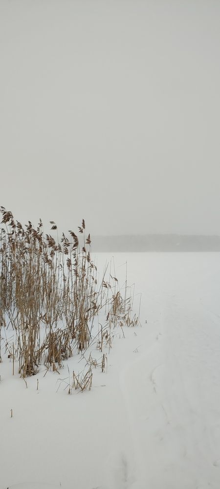 Photograph by Григорий Полосин