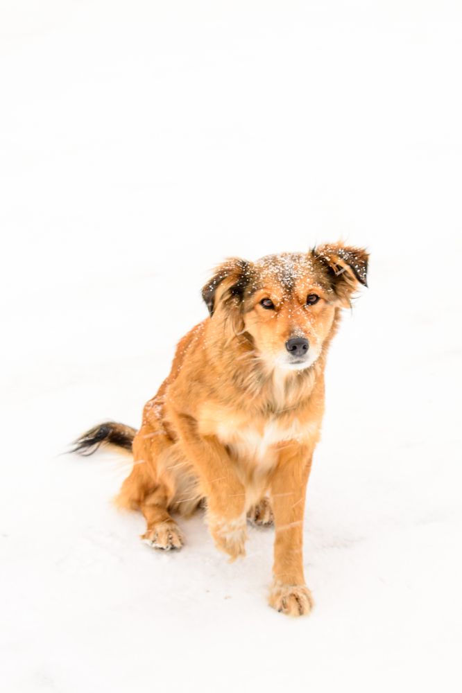 Дай лапу, друг!!!