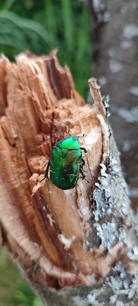 Photograph by Григорий Полосин