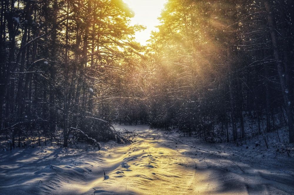 Фотография автора Olga Belikova