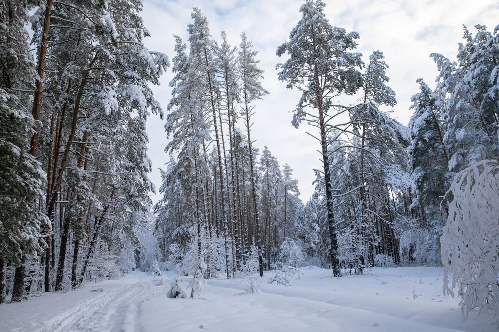 Photograph by Саша Корнюшин