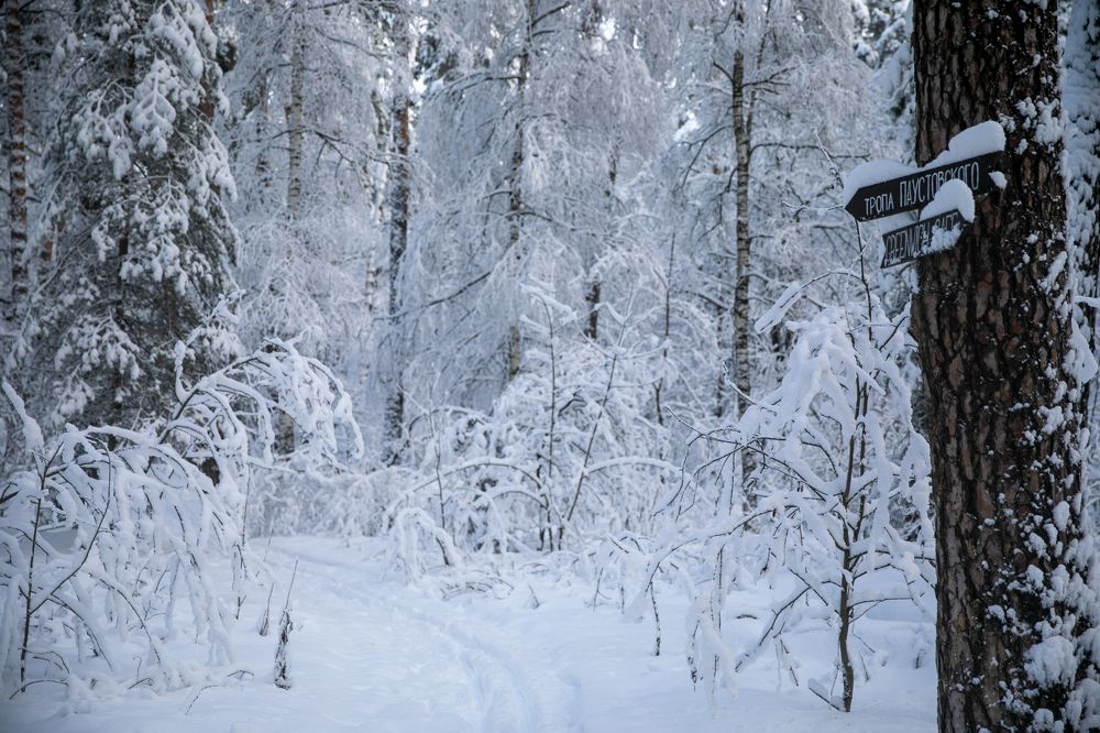 Photograph by Саша Корнюшин