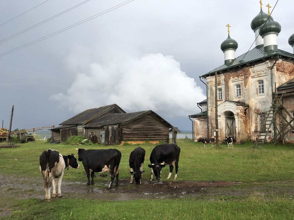 Photograph by Мария Бессмертная