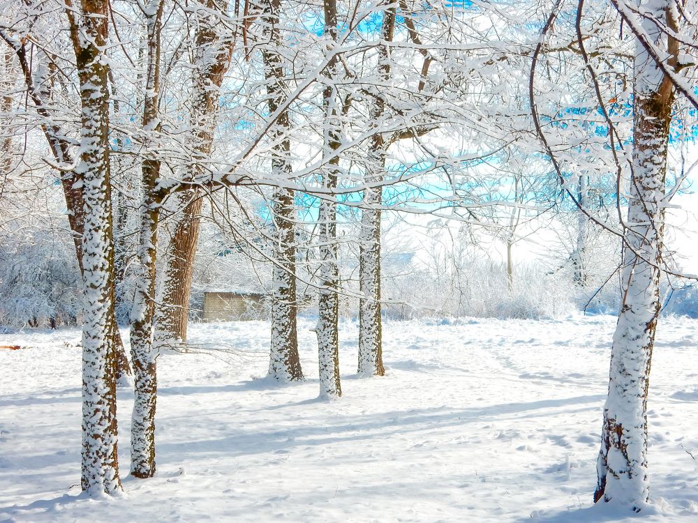 Photograph by Татьяна Слободчикова