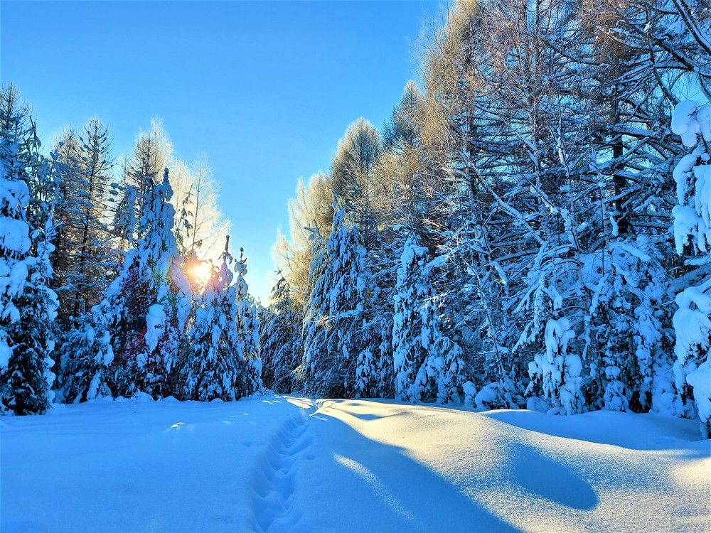 Photograph by Андрей