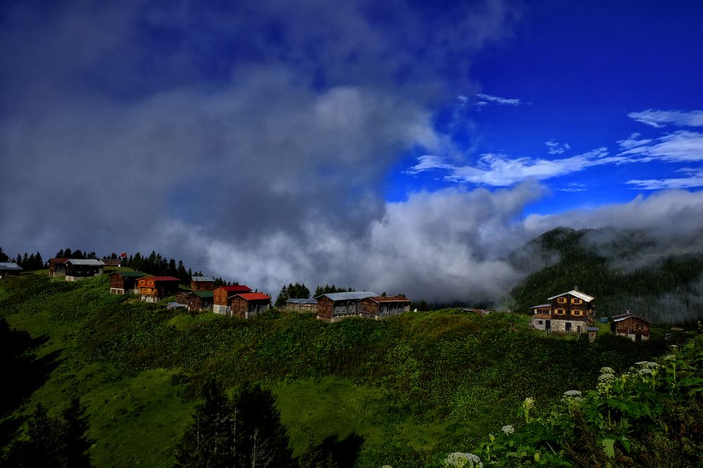 Photograph by Muzaffer Sütlüoğlu