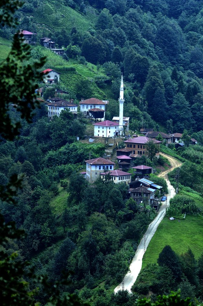 Photograph by Muzaffer Sütlüoğlu