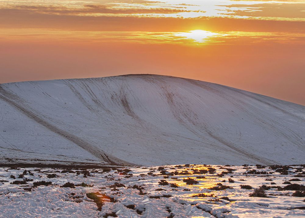 Фотография автора Mohsen Raeiszadeh