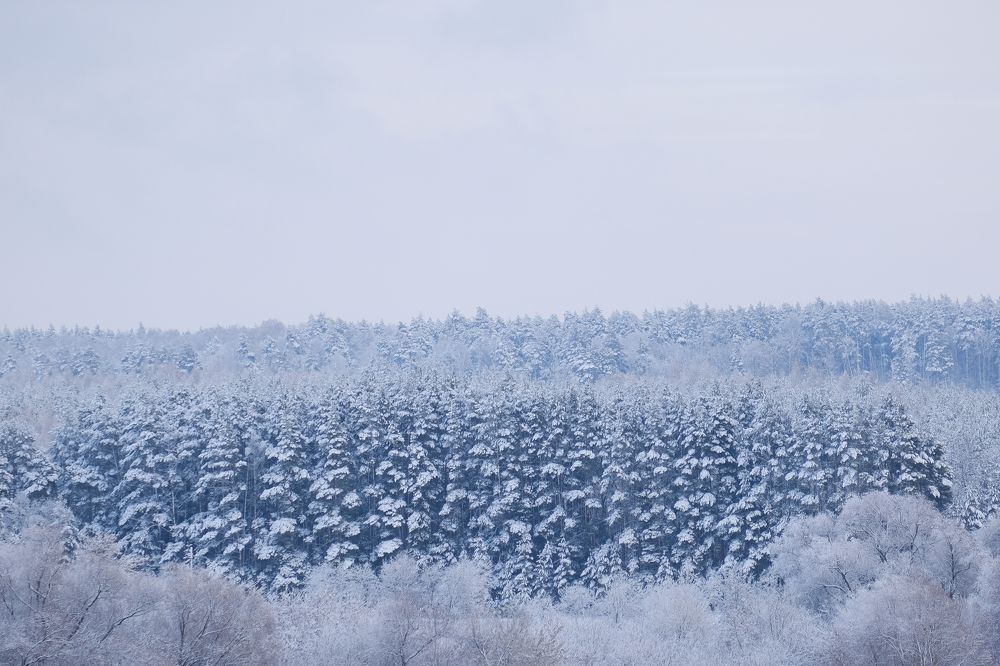 Фотография автора Александр Высоцкий