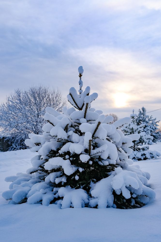 Фотография автора Александр Высоцкий