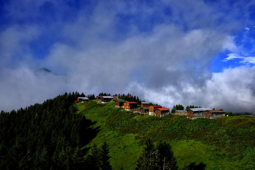 Photograph by Muzaffer Sütlüoğlu