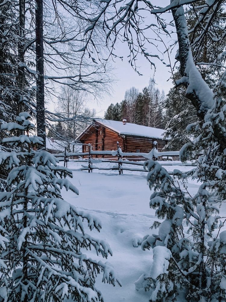 Photograph by Мария Василенко