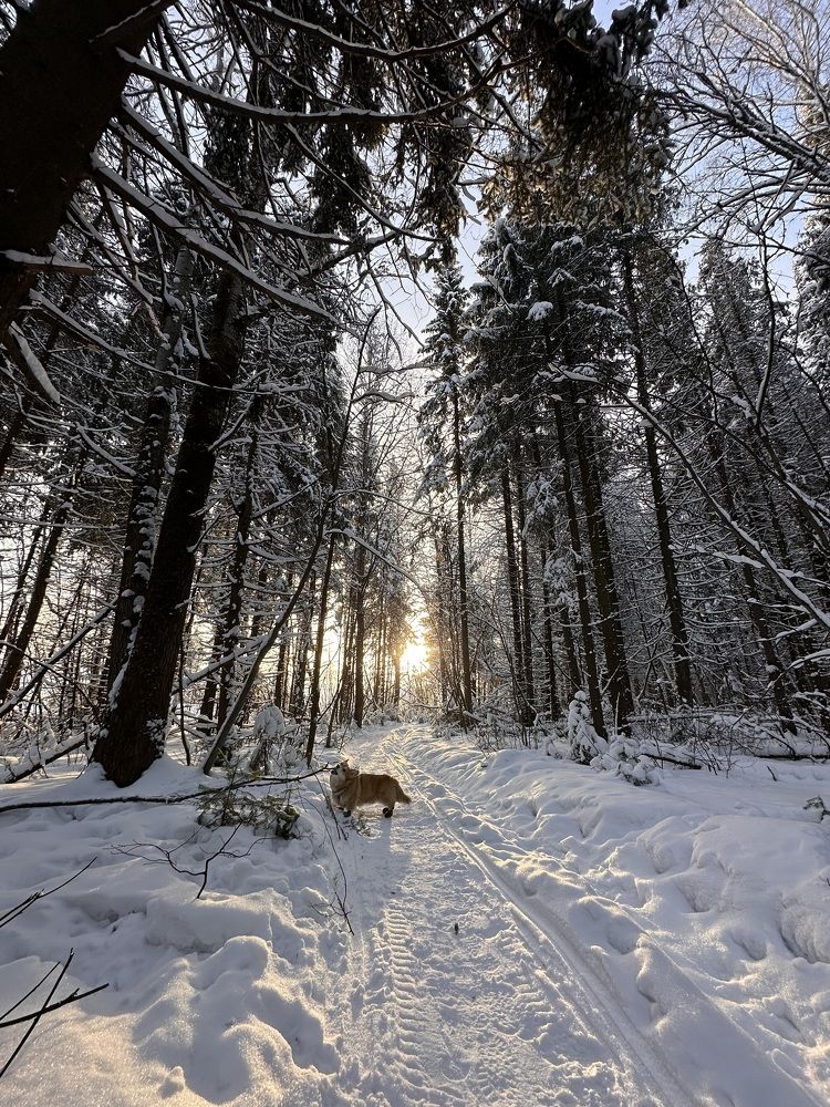 Photograph by Анна Полушина