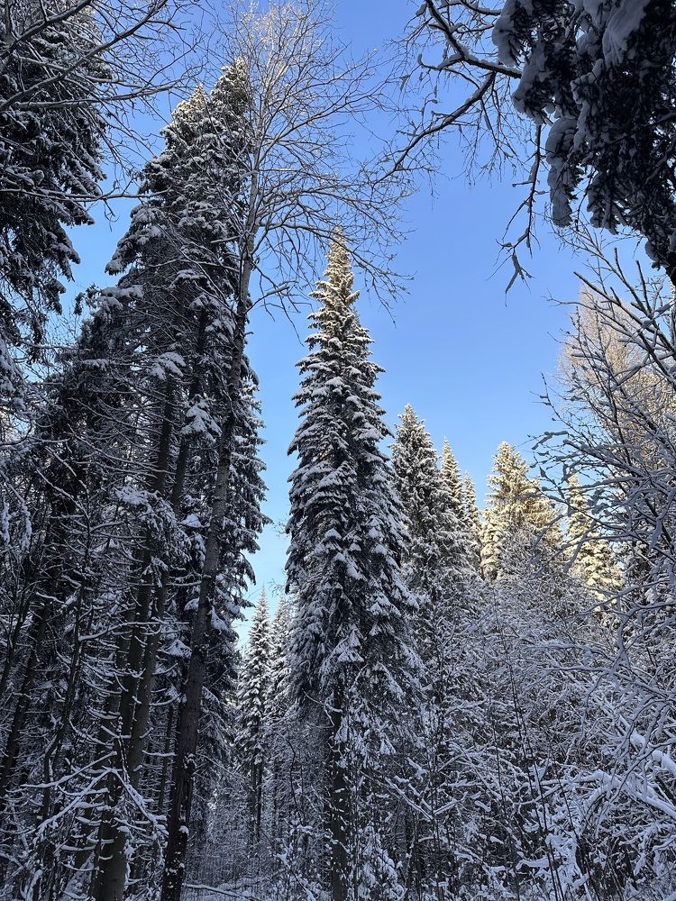 Photograph by Анна Полушина