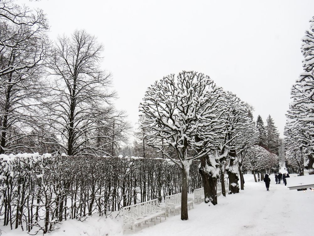 Snow-covered Catherine Park
