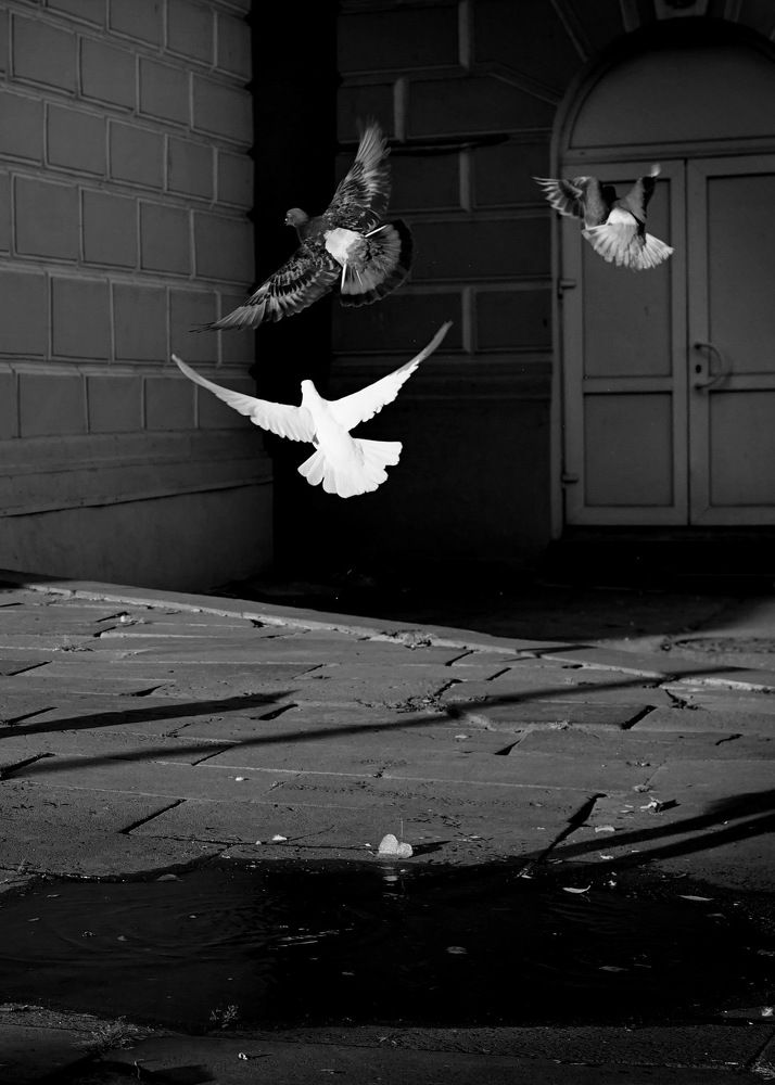 Photograph by Армен Арутюнов