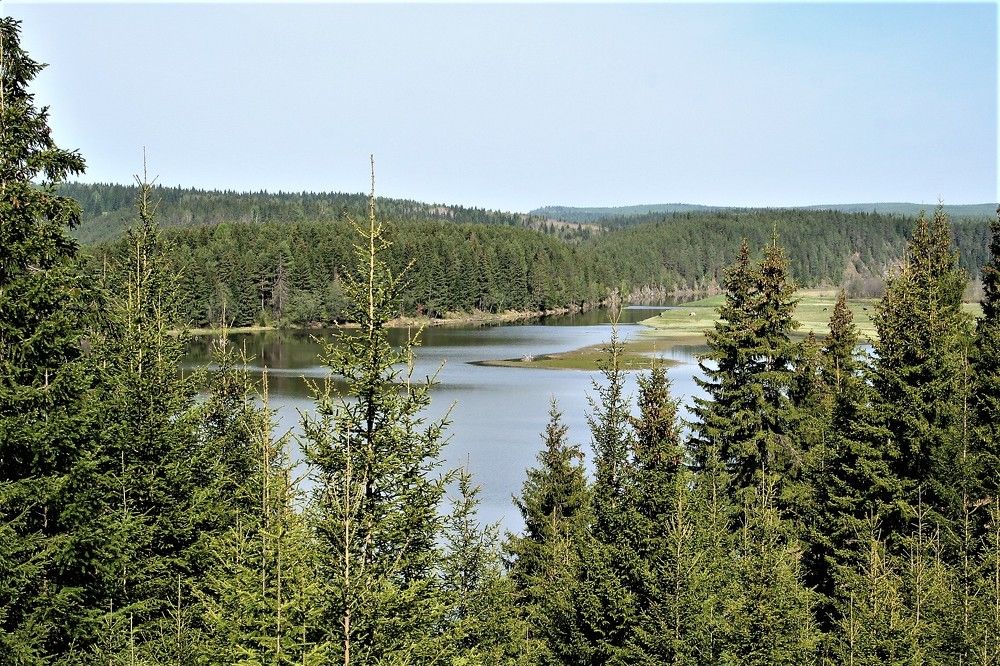 Photograph by Галина